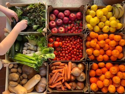 Alimentation