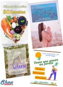 Shop3000 une boutique de produits digitaux