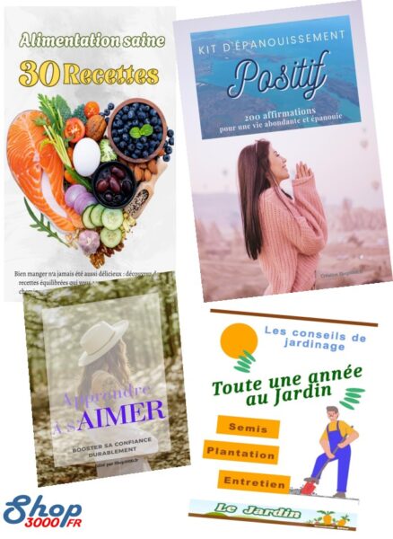 Shop3000 une boutique de produits digitaux